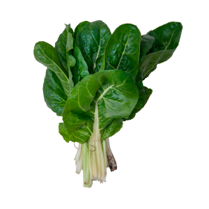 Acelga