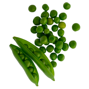Arvejas Frescas
