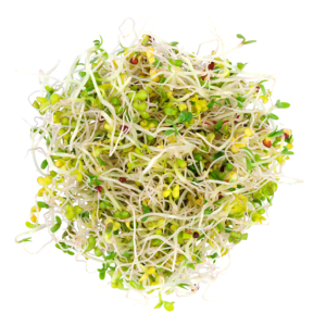 Brote de Alfalfa