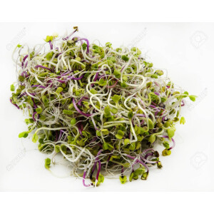 Brote de Rabanito