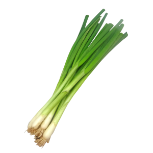 Cebolla de Verdeo