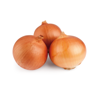 Cebolla
