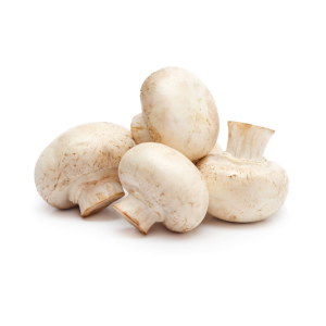 Champignon