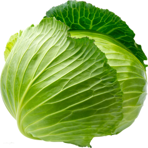Repollo Blanco
