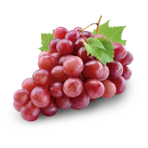 Uva Red Negra