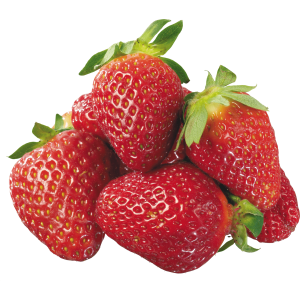 Frutillas