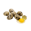 Huevos Codorniz