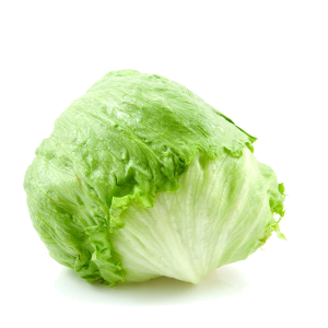 Lechuga Capuchina
