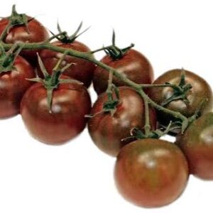 Tomates Cherry Chocolate